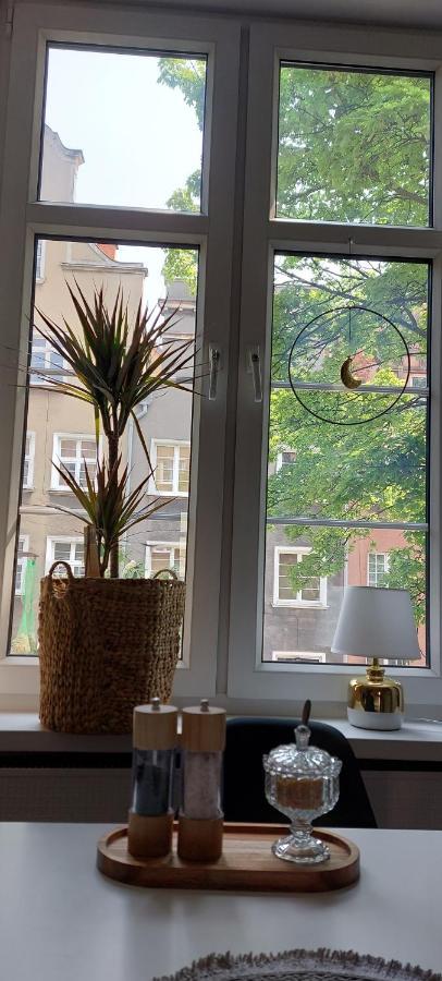 Apartament Grobla III 格但斯克 外观 照片
